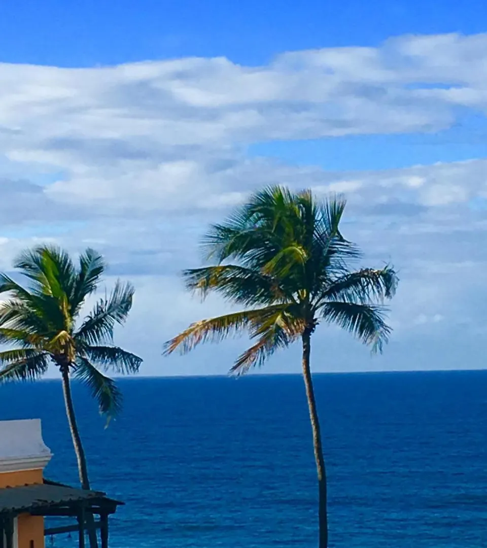305 San Sebastián St Apartamento San Juan Puerto Rico